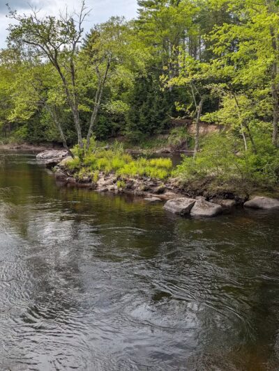 Contoocook River Walk - Hillsborough, NH