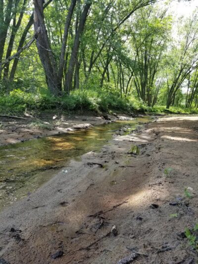 Contoocook River Walk - Hillsborough, NH