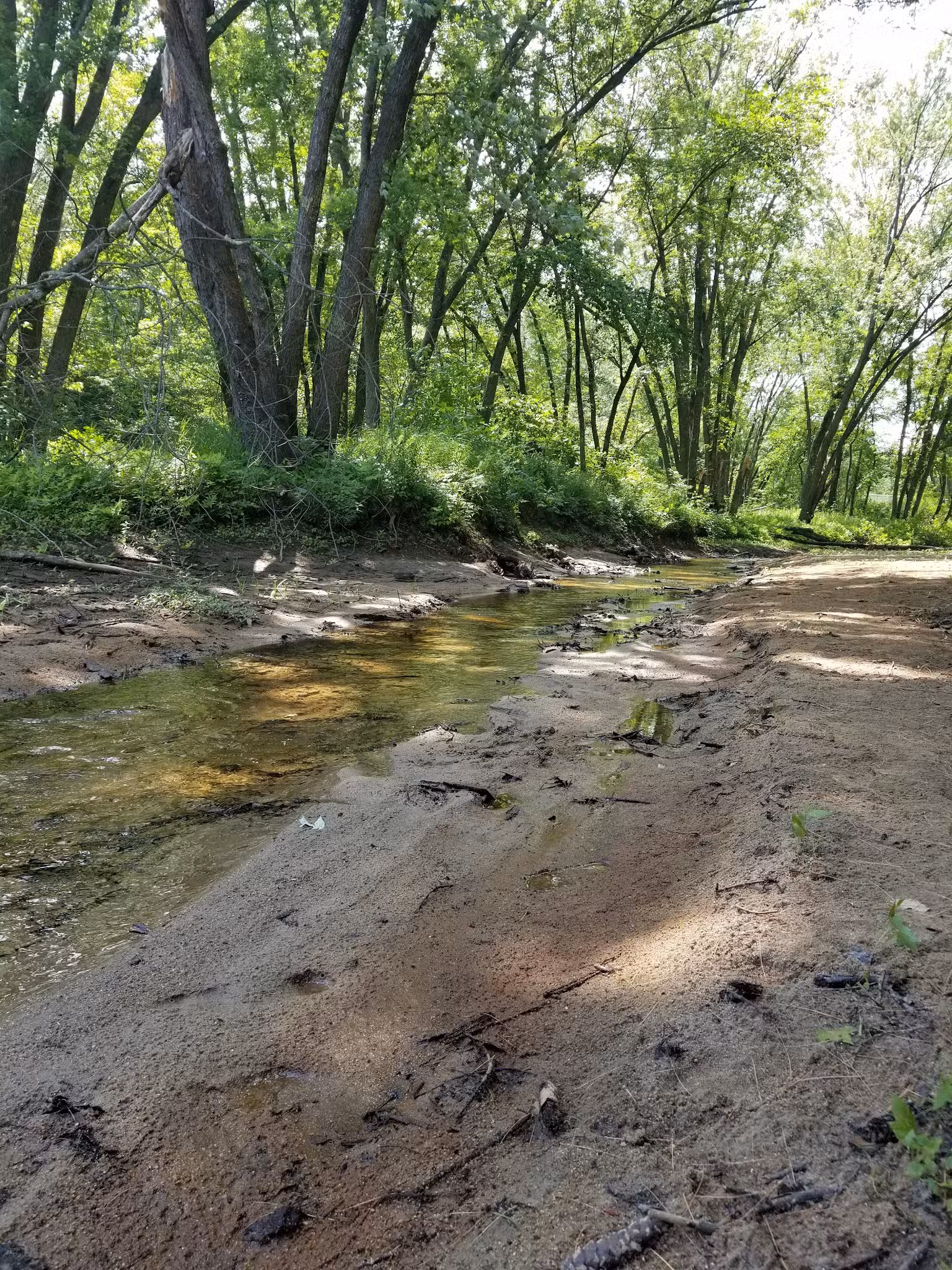 Contoocook River Walk - Hillsborough, NH