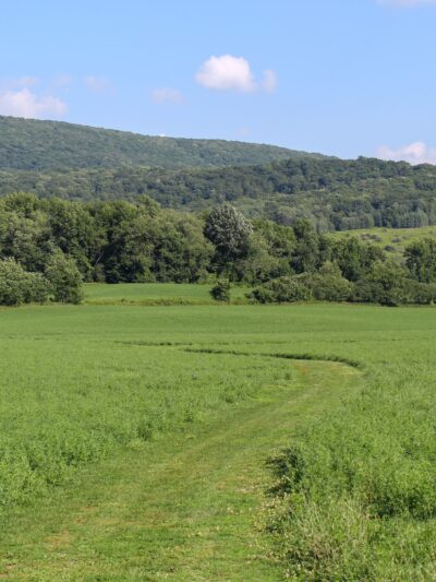 Roeliff Jansen Park - Hillsdale, NY