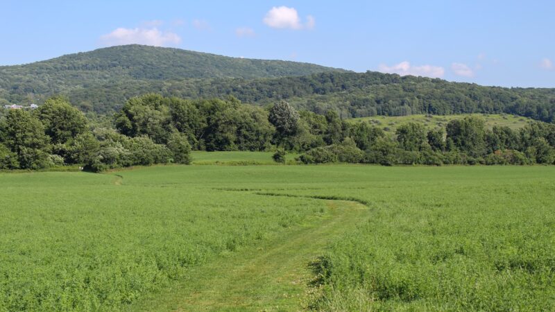 Roeliff Jansen Park - Hillsdale, NY