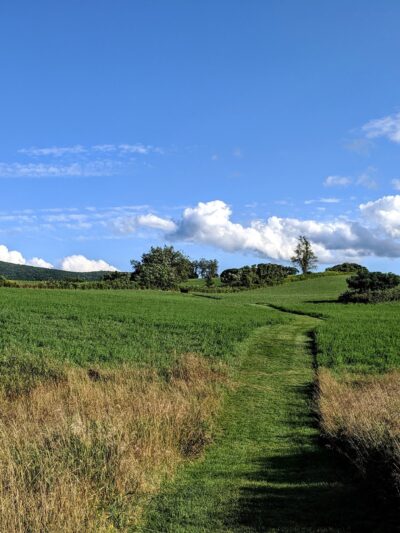 Roeliff Jansen Park - Hillsdale, NY