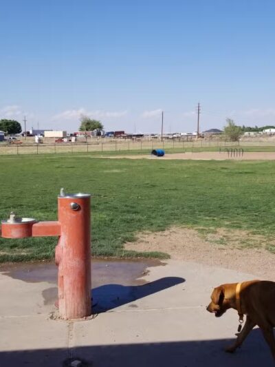 Del Norte Dog Park - Hobbs, NM
