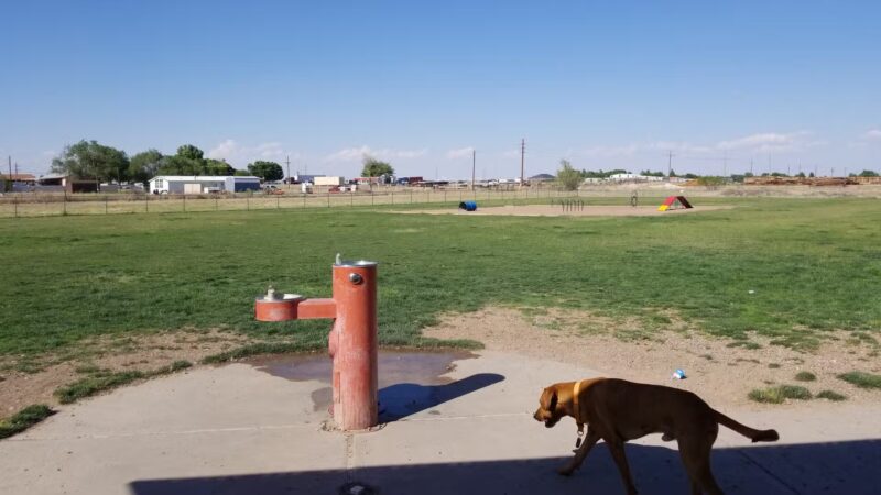 Del Norte Dog Park - Hobbs, NM