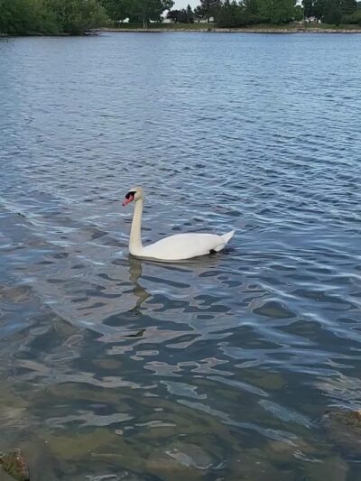 North Park Lake - Holdrege, NE