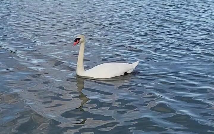 North Park Lake - Holdrege, NE