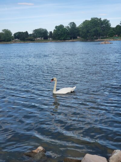 North Park Lake - Holdrege, NE