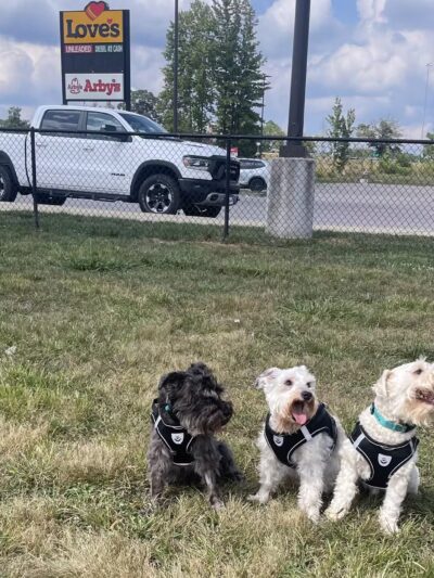 Dog Park at Love's Travel Stops - Holladay, TN