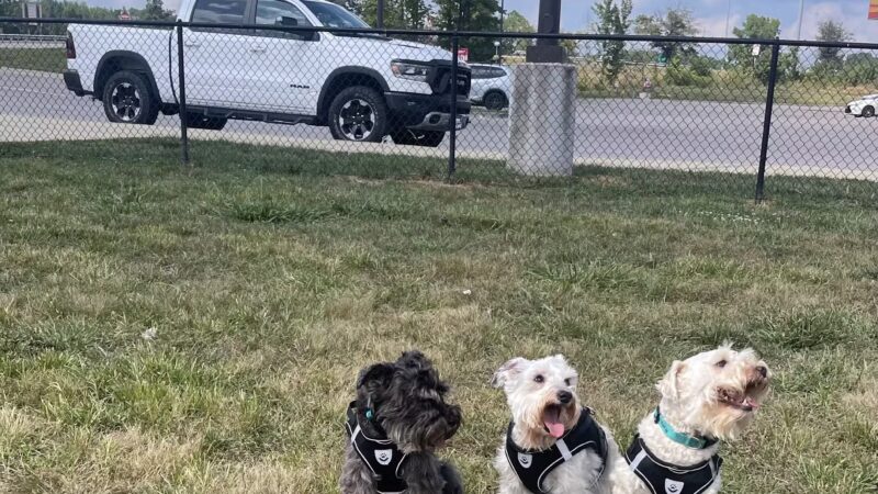 Dog Park at Love's Travel Stops - Holladay, TN