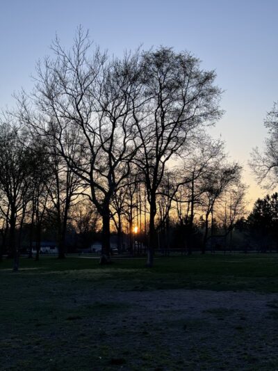 Large Dog Park at Quincy Park - Holland, MI