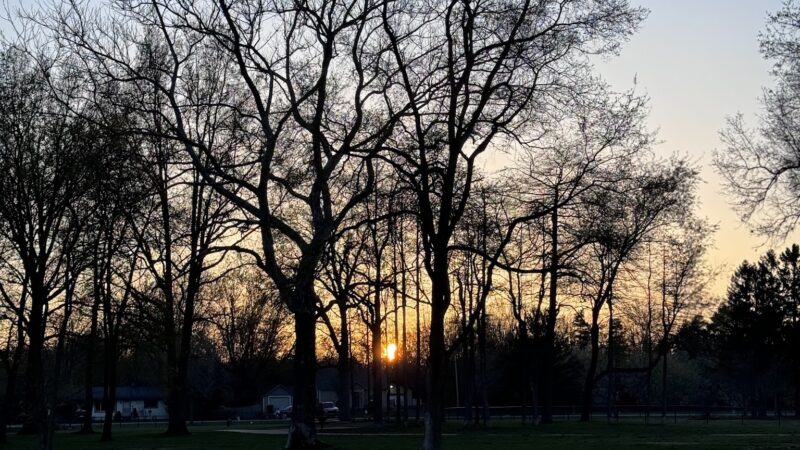 Large Dog Park at Quincy Park - Holland, MI