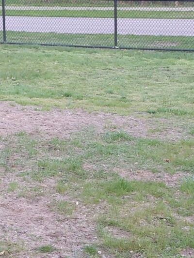 Large Dog Park at Quincy Park - Holland, MI