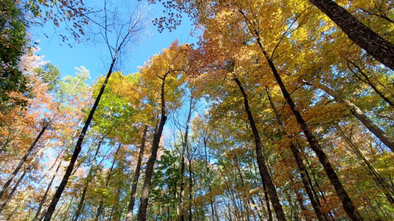 Beaver Brook - Hollis, NH