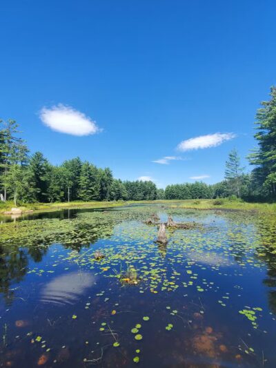 Beaver Brook - Hollis, NH