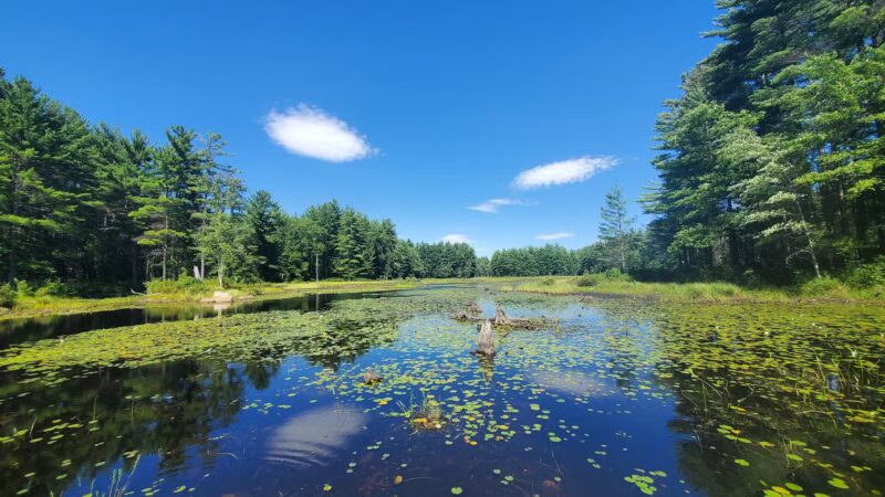 Beaver Brook - Hollis, NH