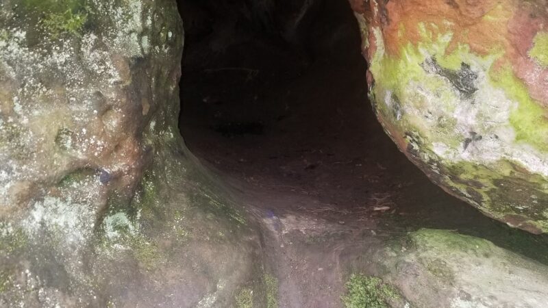 Hollow Rock Park - Hollow Rock, TN