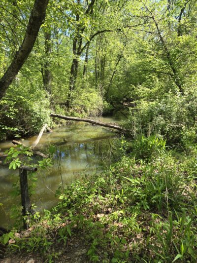 Hollow Rock Park - Hollow Rock, TN