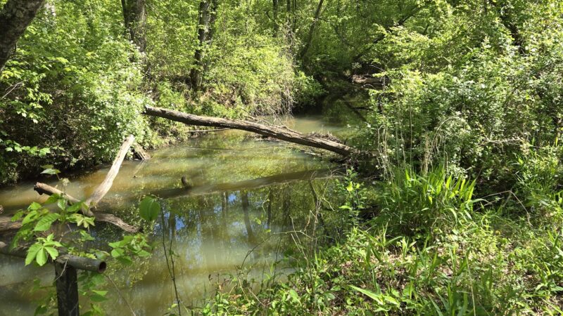 Hollow Rock Park - Hollow Rock, TN