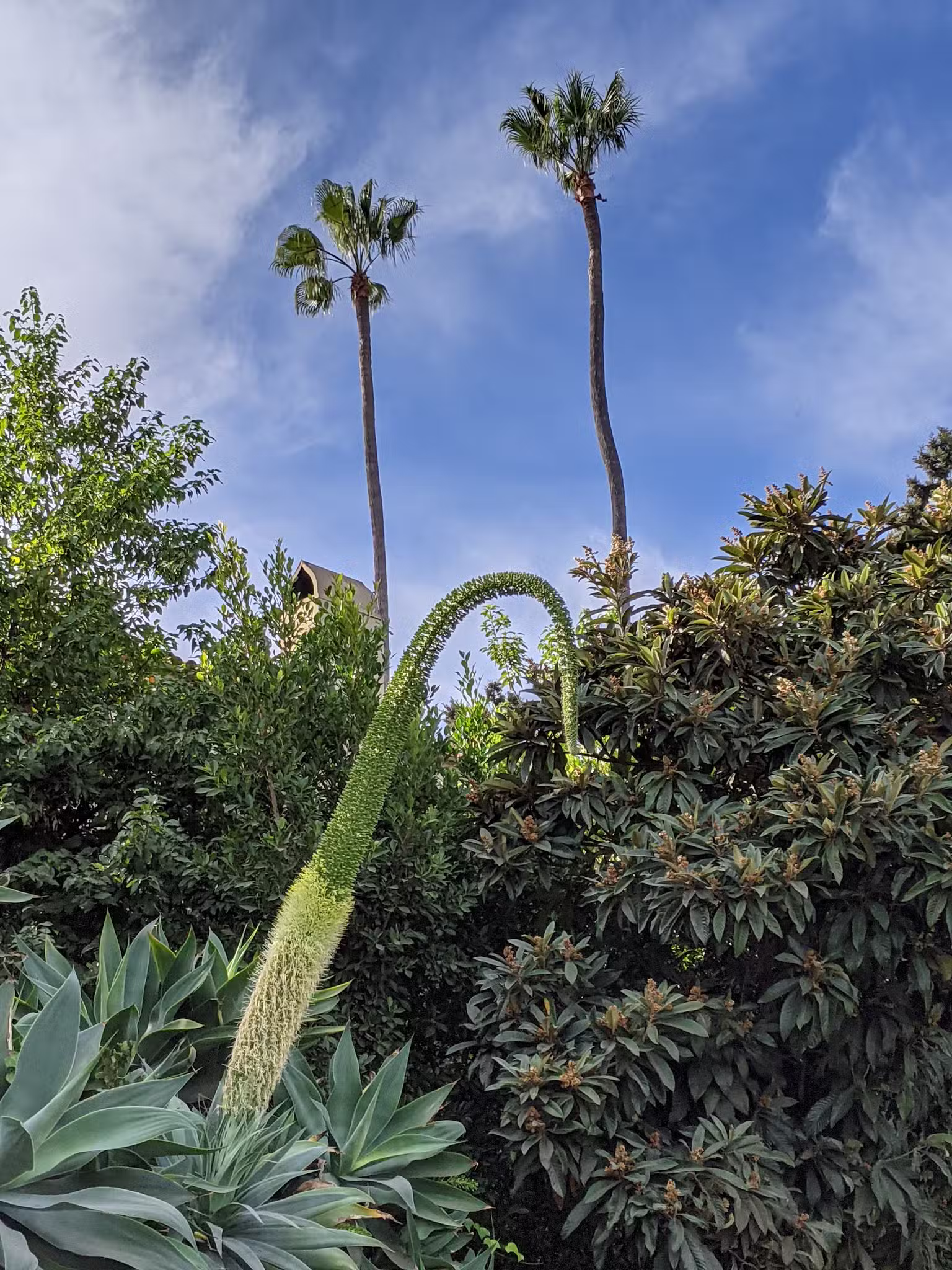 Whitley Terrace Steps - Hollywood, CA