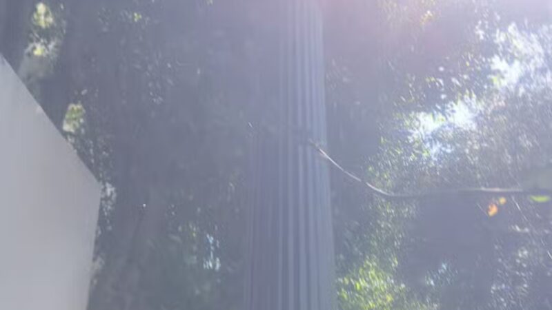 Whitley Terrace Steps - Hollywood, CA