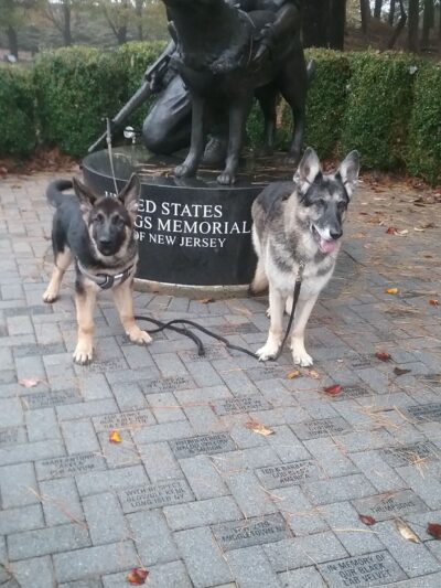 War Dog Memorial - Holmdel, NJ