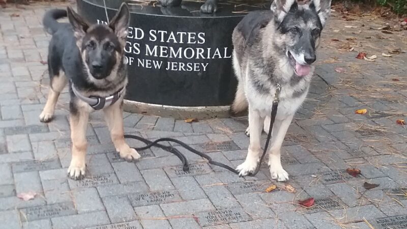 War Dog Memorial - Holmdel, NJ