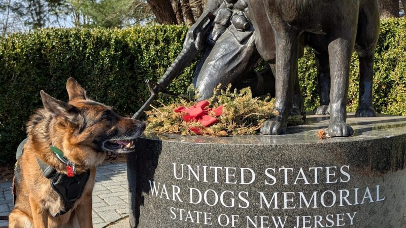 War Dog Memorial - Holmdel, NJ