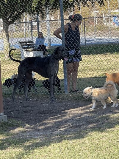 Central Park - Holmes Beach, FL