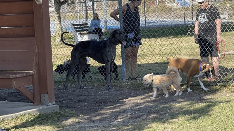Central Park - Holmes Beach, FL
