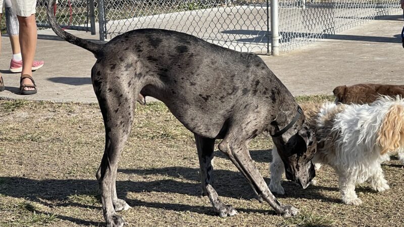 Central Park - Holmes Beach, FL