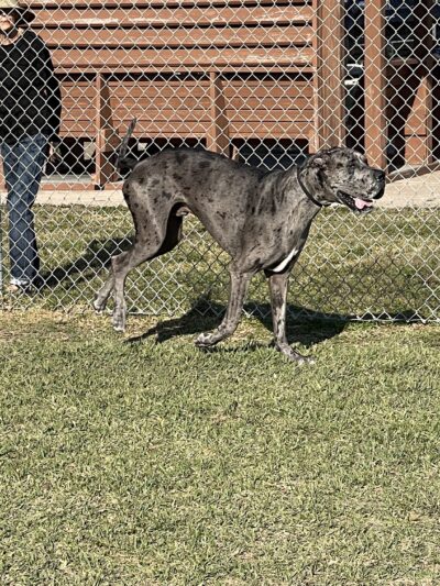 Central Park - Holmes Beach, FL