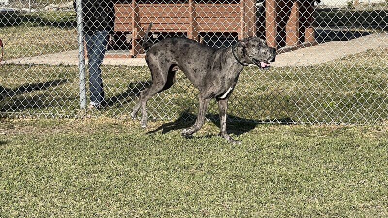 Central Park - Holmes Beach, FL