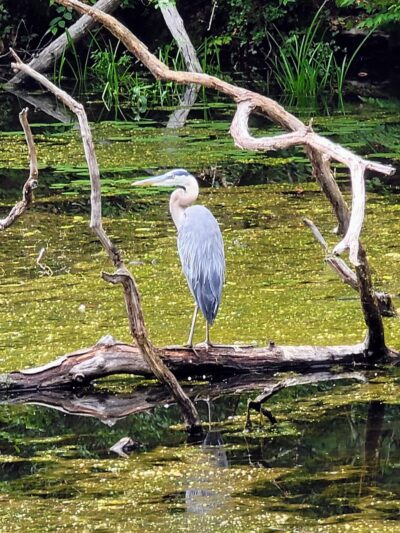 Empire State Trail - Pawling Trailhead - Holmes, NY