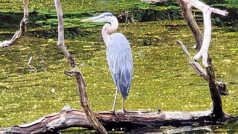 Empire State Trail - Pawling Trailhead - Holmes, NY