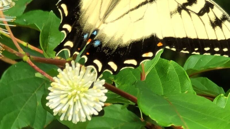 Empire State Trail - Pawling Trailhead - Holmes, NY