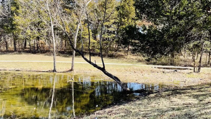 Holts Summit Park - Holts Summit, MO