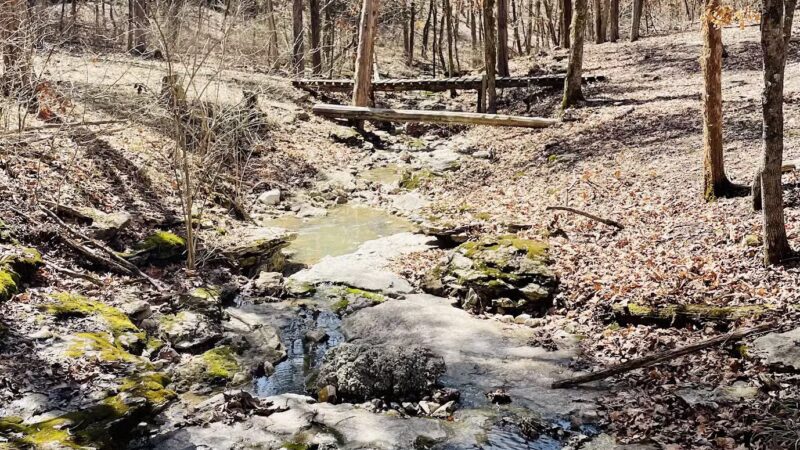 Holts Summit Park - Holts Summit, MO