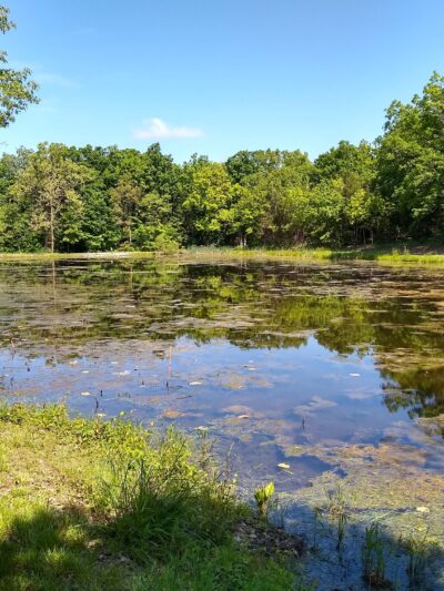 Holts Summit Park - Holts Summit, MO