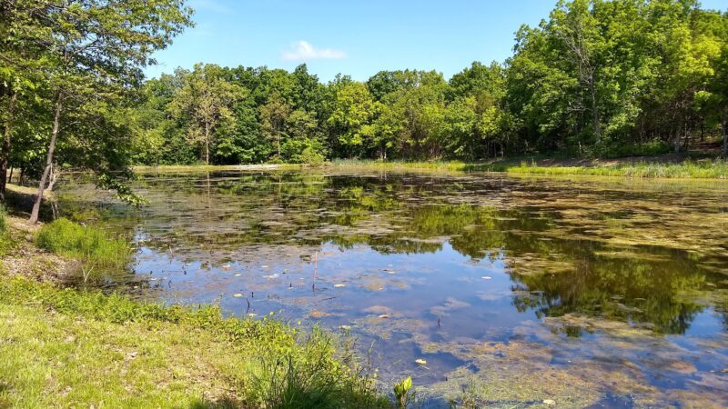 Holts Summit Park - Holts Summit, MO