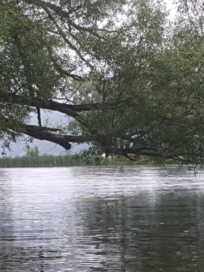 Andrew R. Fuller Park - Homer, NY