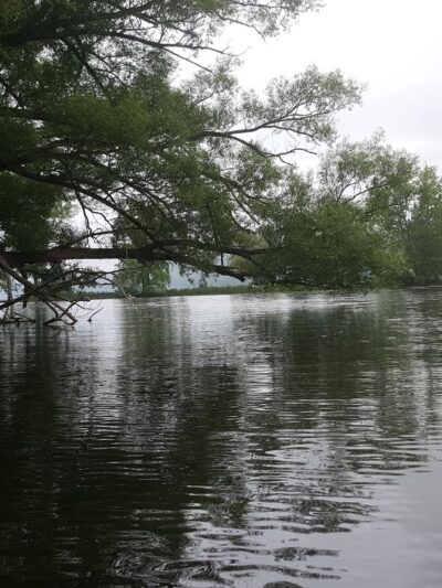Andrew R. Fuller Park - Homer, NY