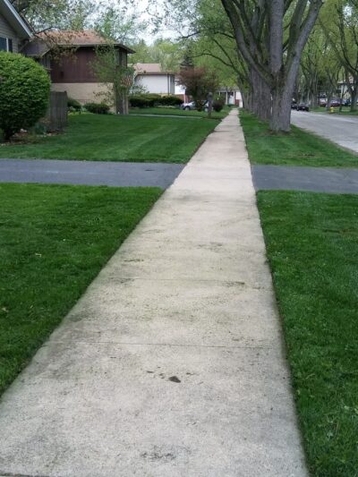 Rover's Run Dog Park (Membership required) - Homewood, IL