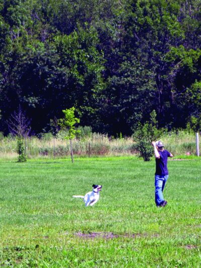 Rover's Run Dog Park (Membership required) - Homewood, IL