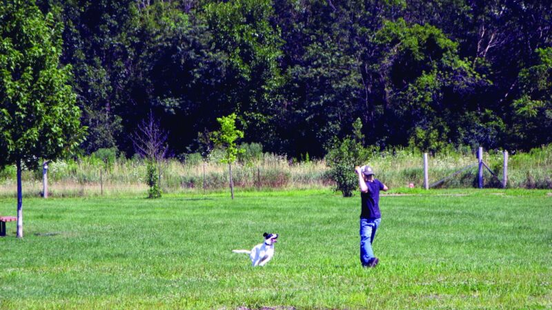 Rover's Run Dog Park (Membership required) - Homewood, IL