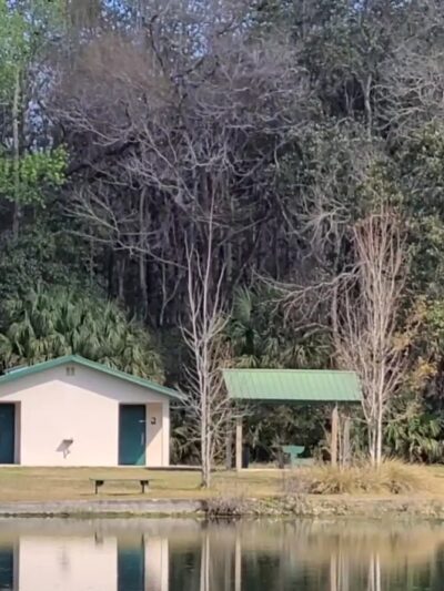 Bluebird Springs Park - Homosassa, FL