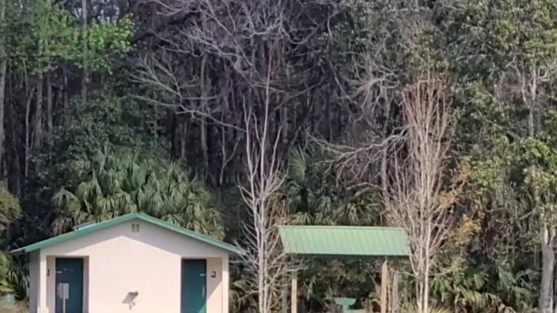 Bluebird Springs Park - Homosassa, FL