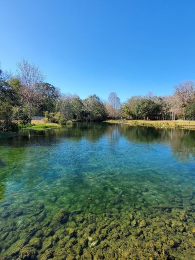 Bluebird Springs Park - Homosassa, FL
