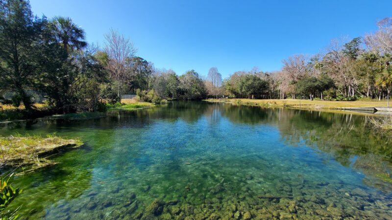 Bluebird Springs Park - Homosassa, FL