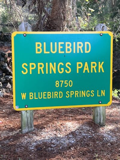 Bluebird Springs Park - Homosassa, FL