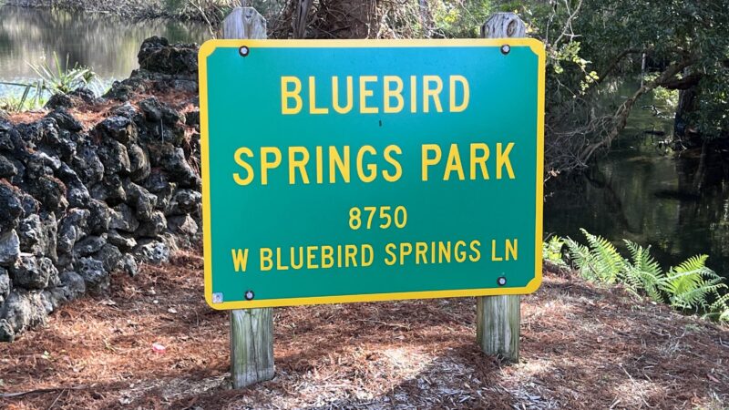 Bluebird Springs Park - Homosassa, FL
